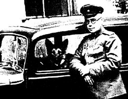 algoritm-rynochnogo-pererozhdeniya
